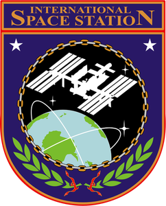 Vektorgrafik von ISS Abzeichen